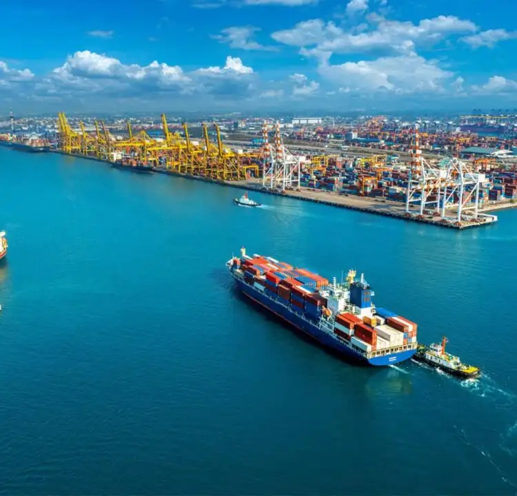 Expert Container Unloading & Loading