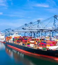 About Xpert Lumpers Services Limited